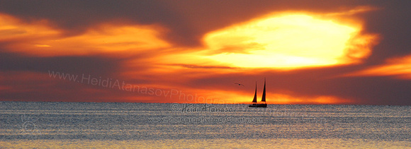 sailboat sunset _3501