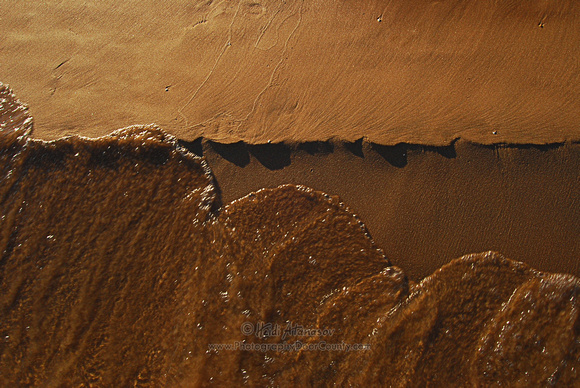 DSC_6551 Whitefish Dunes Beach Abstract
