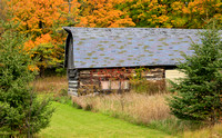 Autumn Barn_3580