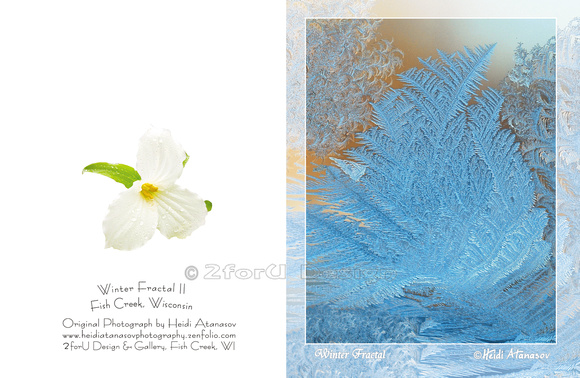 winter fractal II, tree v0