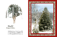 Holly with red border v3 - trees, deer